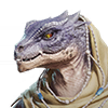 Nisalt